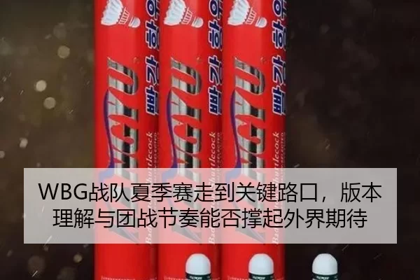 WBG战队夏季赛走到关键路口，版本理解与团战节奏能否撑起外界期待